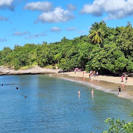 Le Madja'Kaz - Studio En Residence Et Bord De Mer - Sainte Luce Martinique Eksteriør bilde