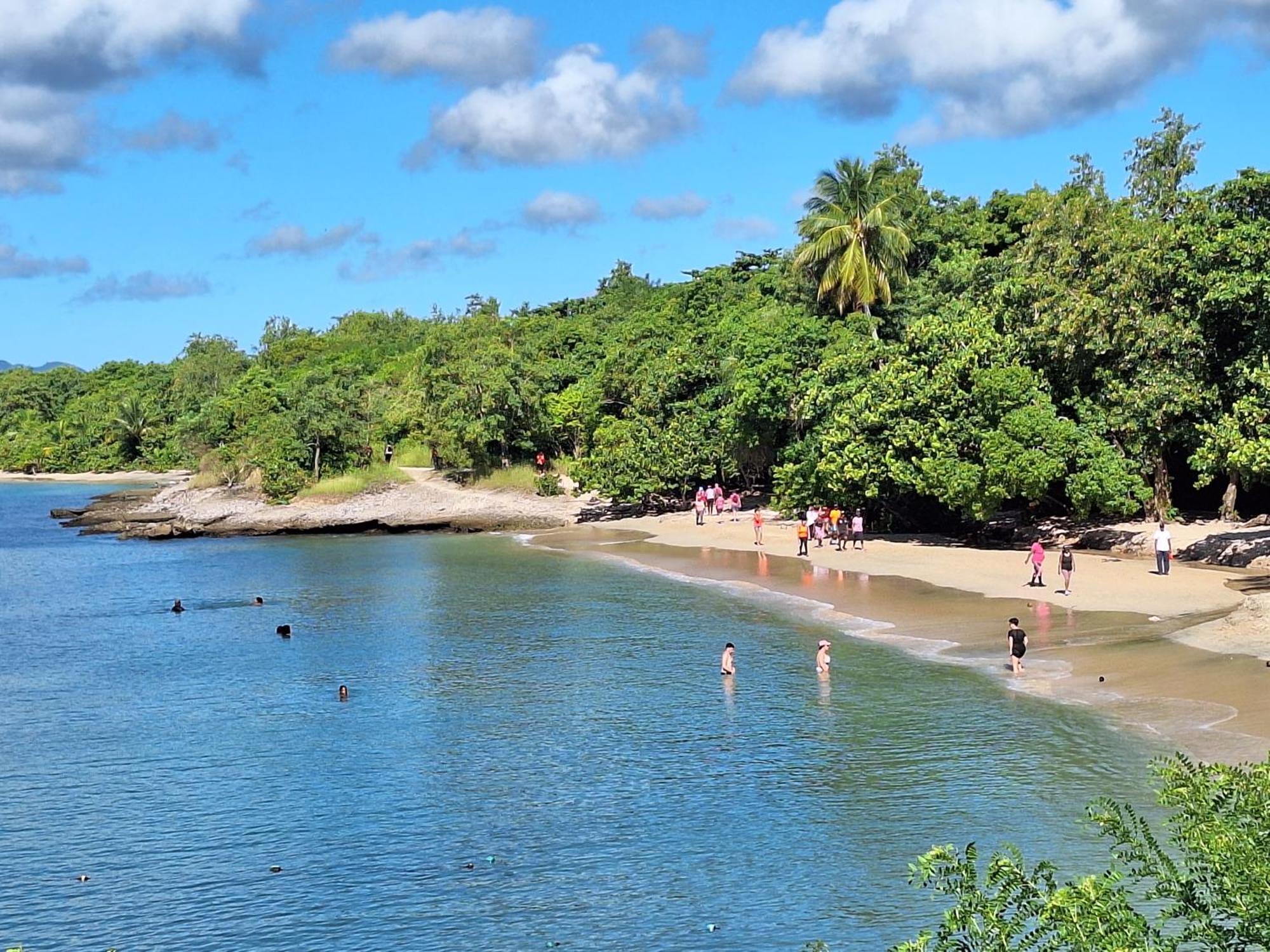 Le Madja'Kaz - Studio En Residence Et Bord De Mer - Sainte Luce Martinique Eksteriør bilde