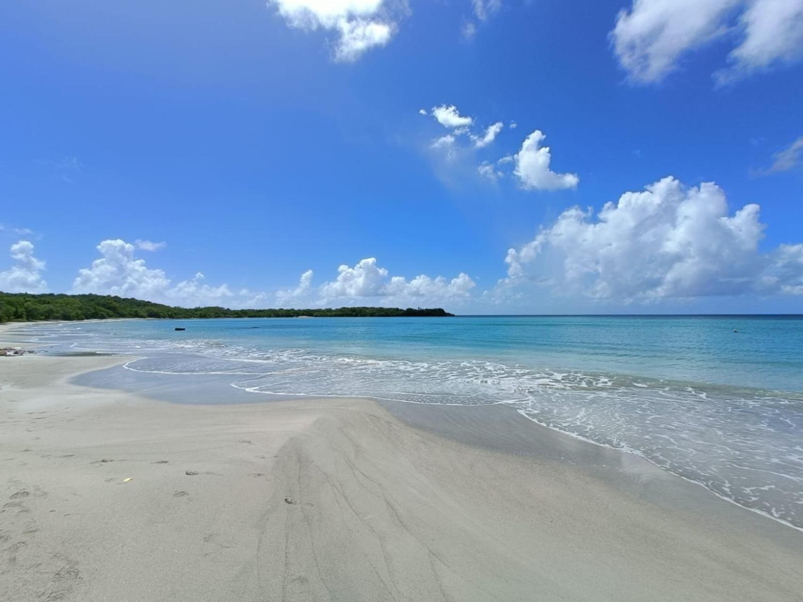 Le Madja'Kaz - Studio En Residence Et Bord De Mer - Sainte Luce Martinique Eksteriør bilde