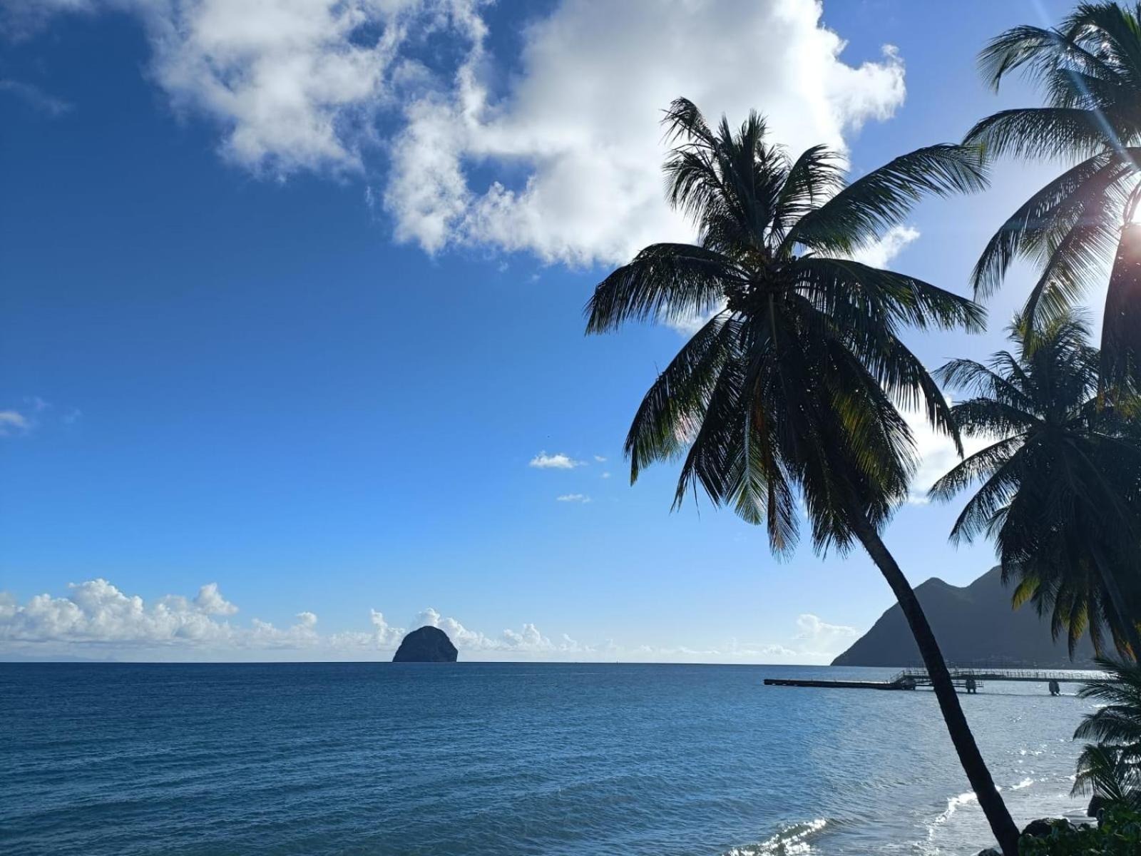 Le Madja'Kaz - Studio En Residence Et Bord De Mer - Sainte Luce Martinique Eksteriør bilde